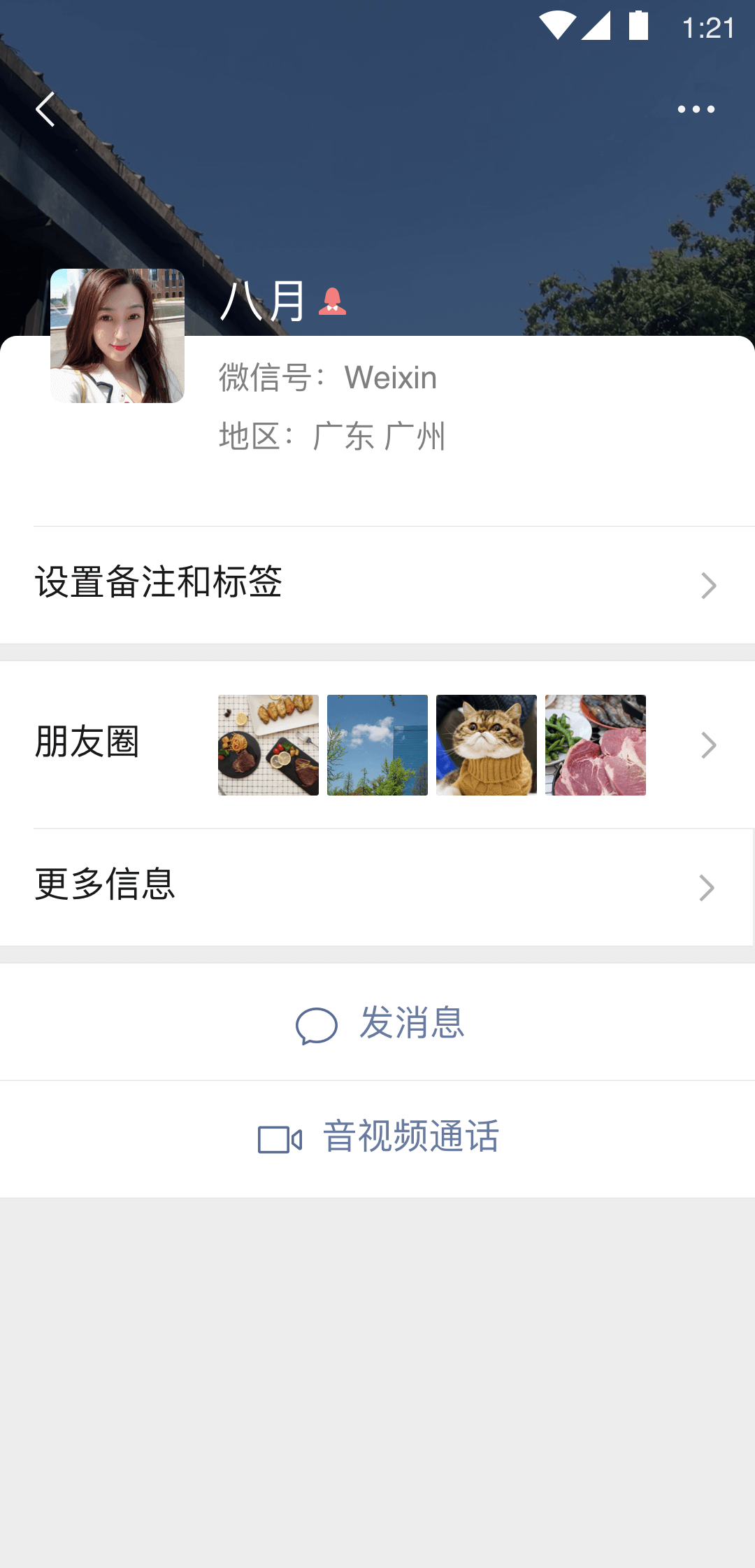 网络女主,女主寻乖狗狗截图